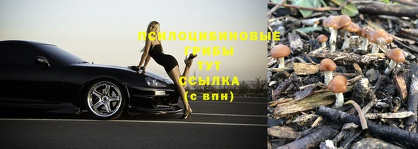 гидра Армянск