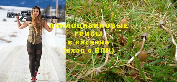 MESCALINE Аркадак