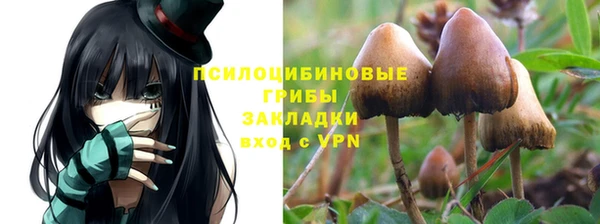 бошки Арсеньев