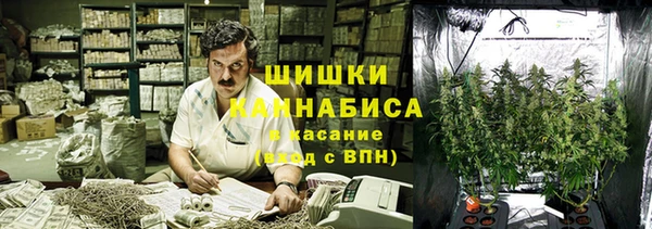 MESCALINE Аркадак