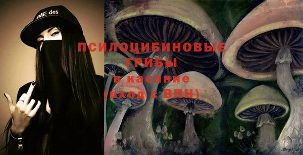 бошки Арсеньев