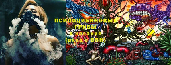 бошки Арсеньев